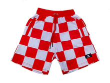 Load image into Gallery viewer, HGH Mesh Checker Shorts - 7 colorways
